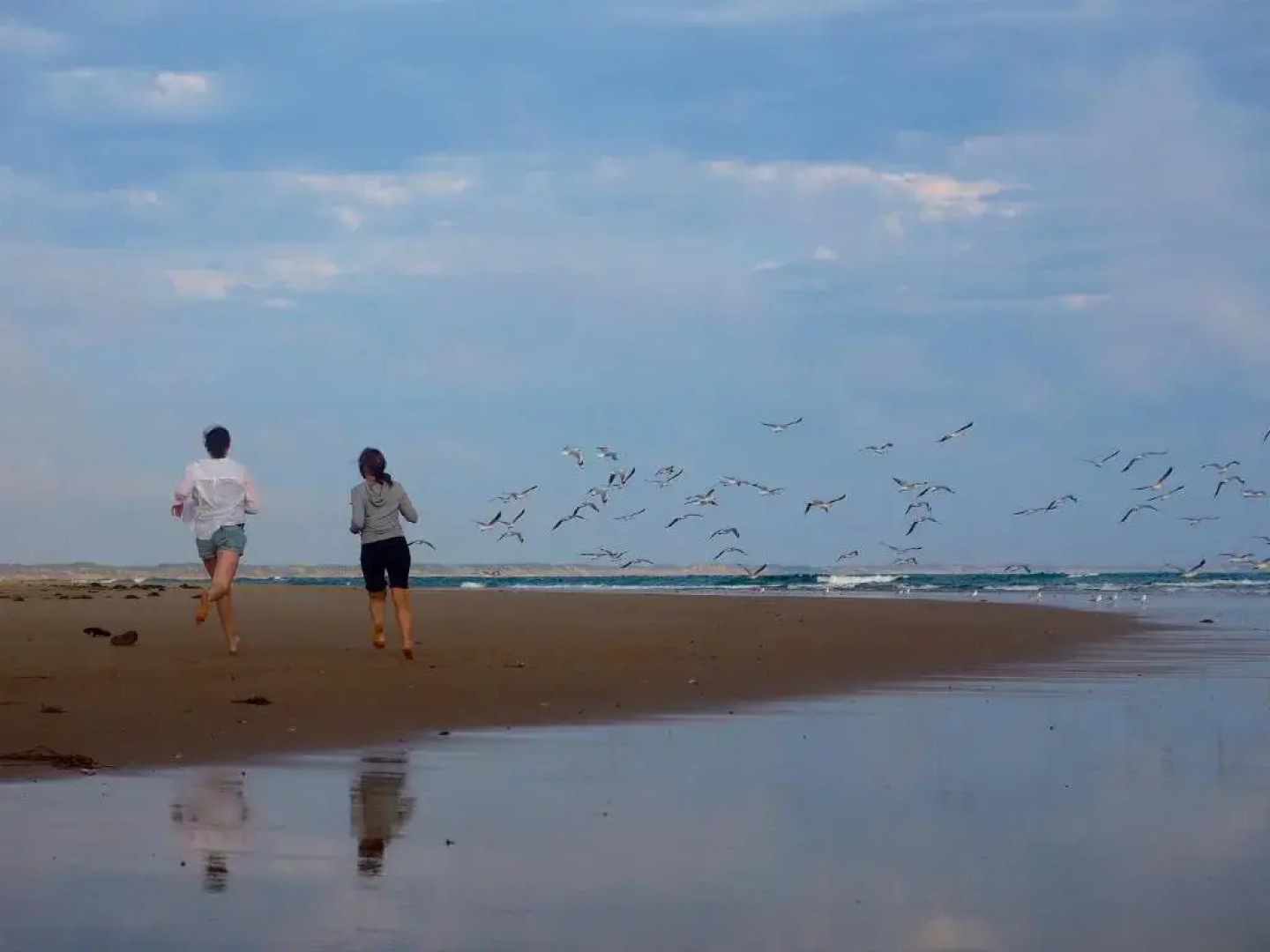 Alice's Palace, 2-minute walk to lifeguard patrolled surf beach