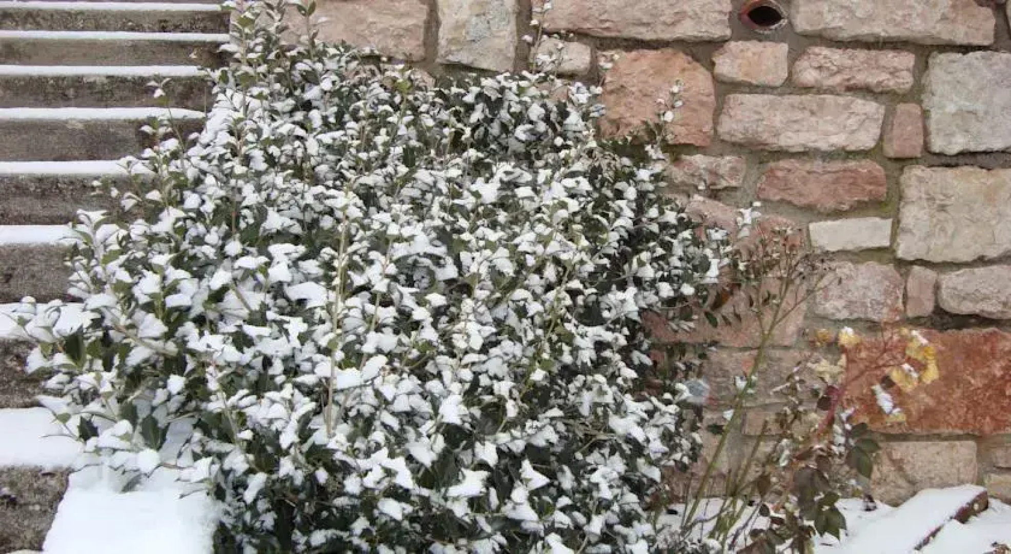 B&B La Giardinetta