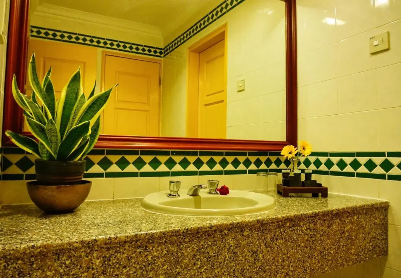 Leisure Cove Hotel & Apartments