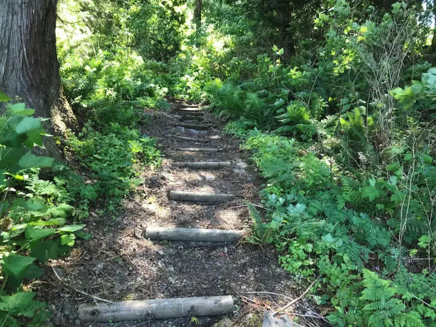 07MF - Lake Front - Hot Tub - BBQ - Sleeps 8