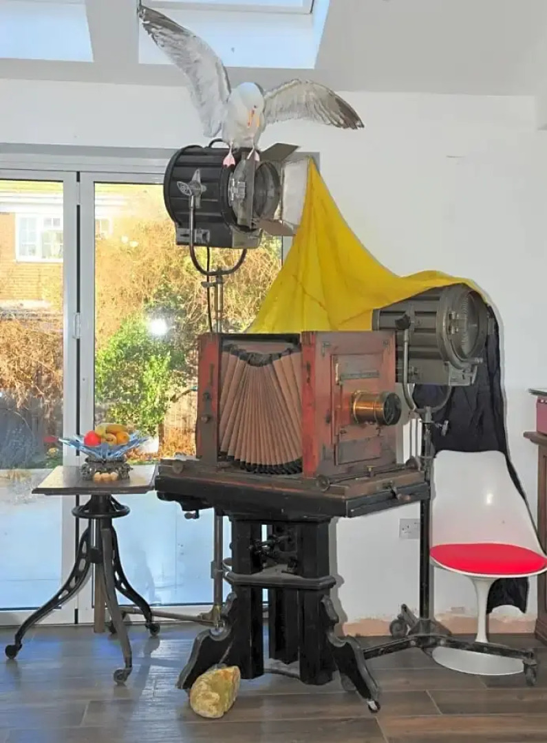 Edgecliff Boutique B&B