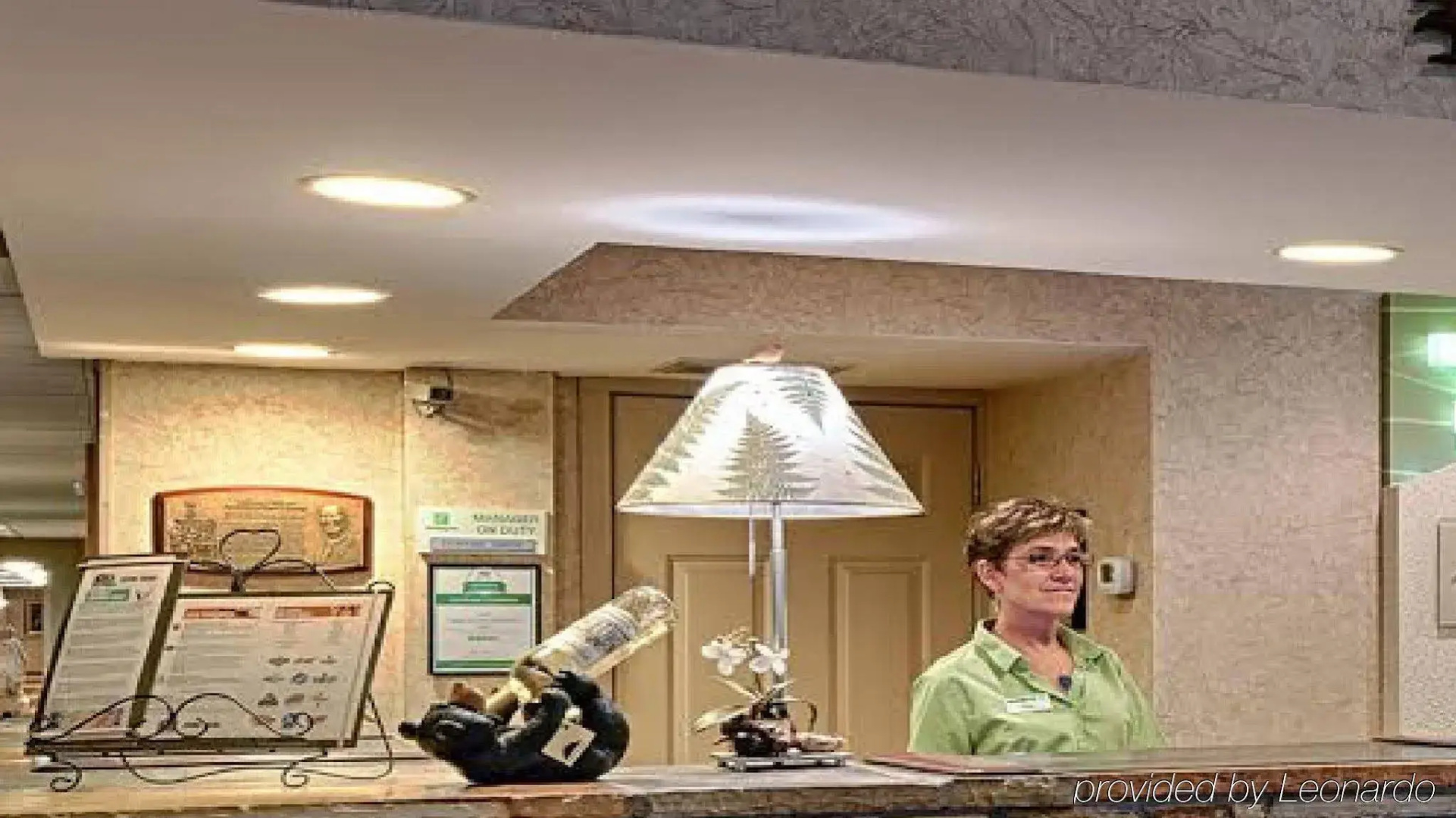 Holiday Inn Asheville East-Blue Ridge PKWY by IHG