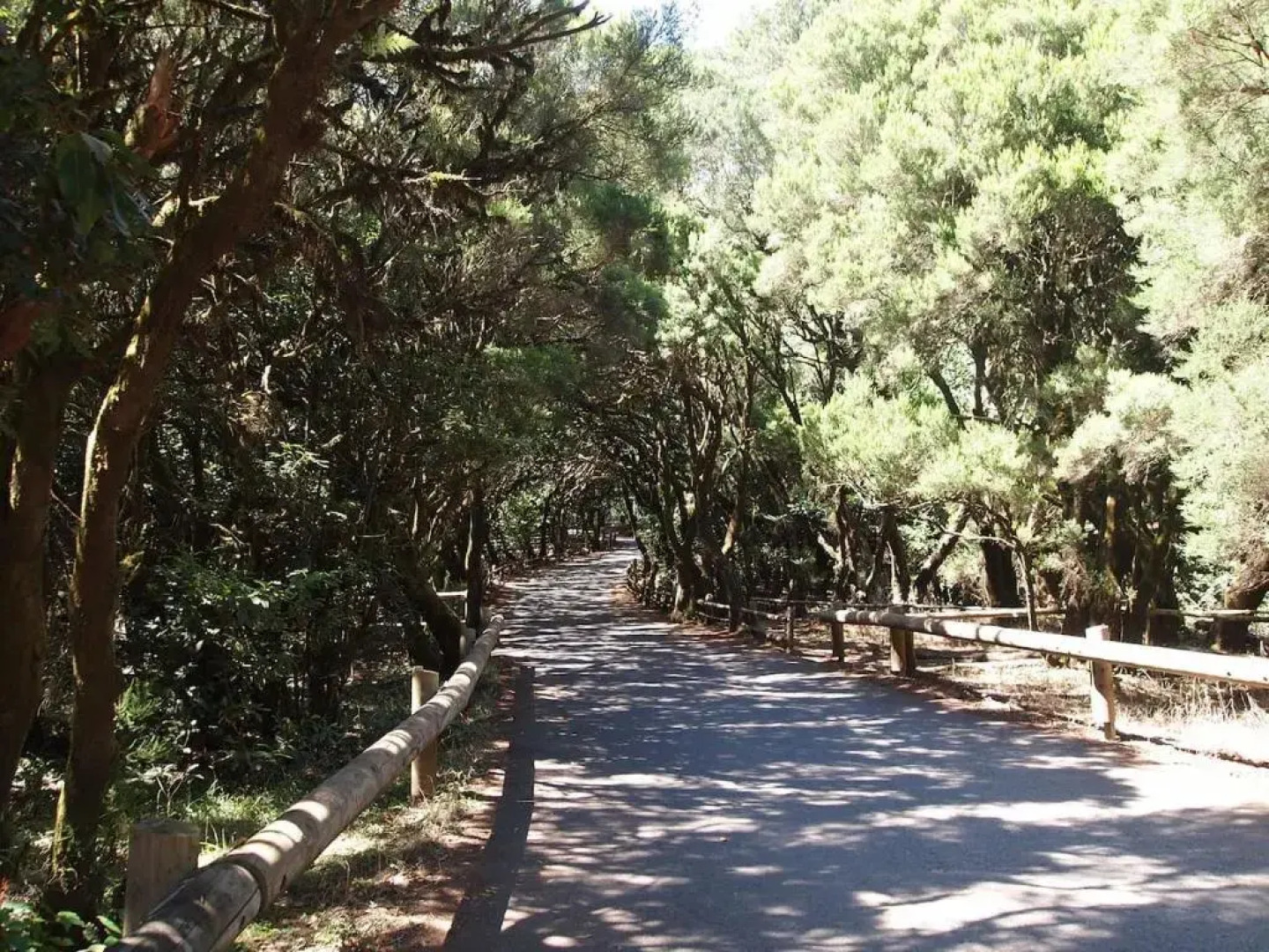 Apartamento La Playa