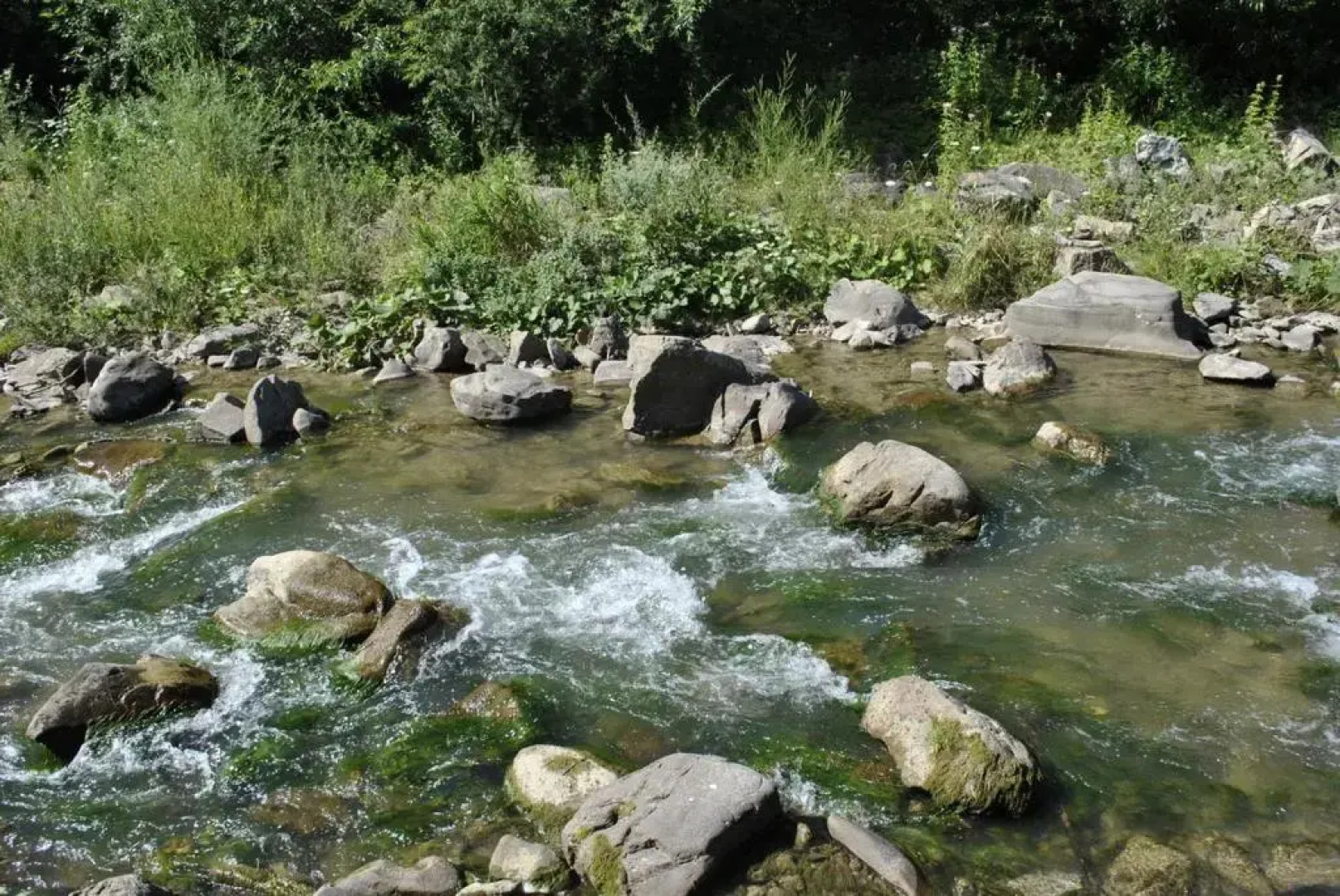 Apartamenty Homole Mansarda