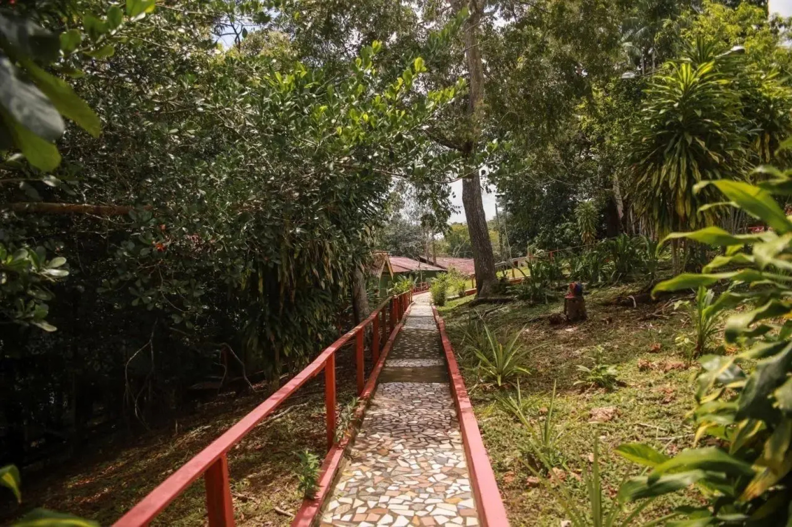 Amazonia Jungle Hotel