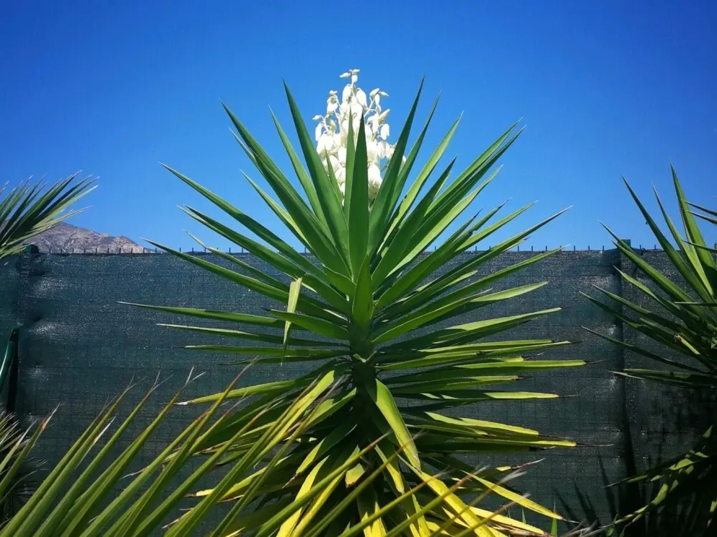 Lovely Holiday Home in Aigues With Private Swimming Pool
