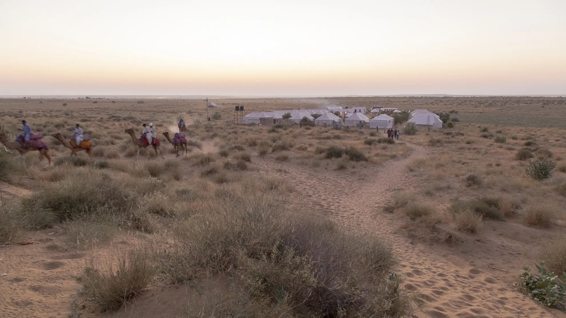 Prince Desert Camp