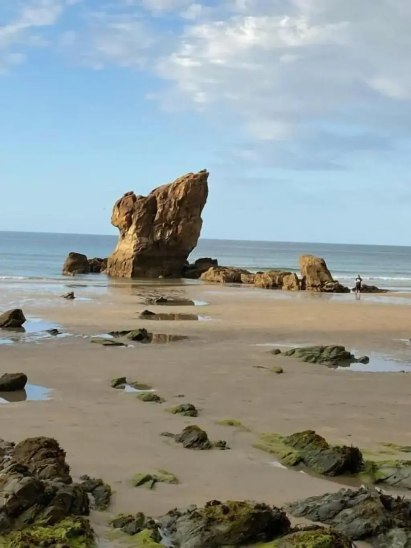 Hotel Playa de Aguilar