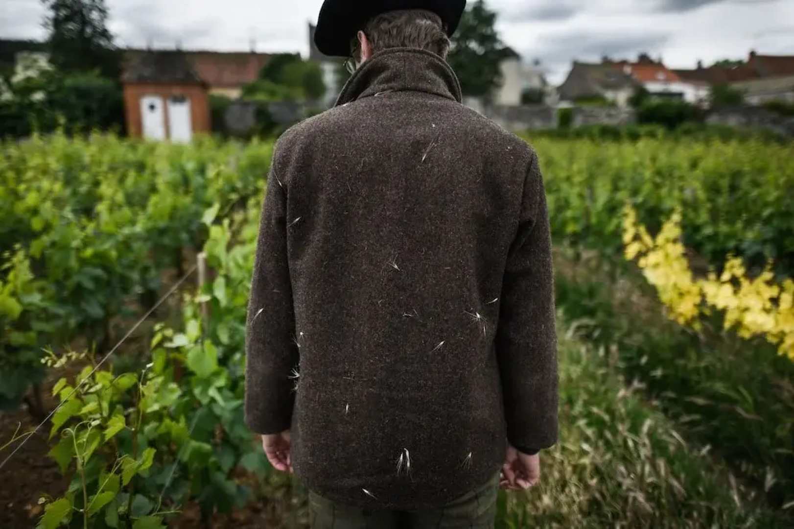 Château Armand Heitz