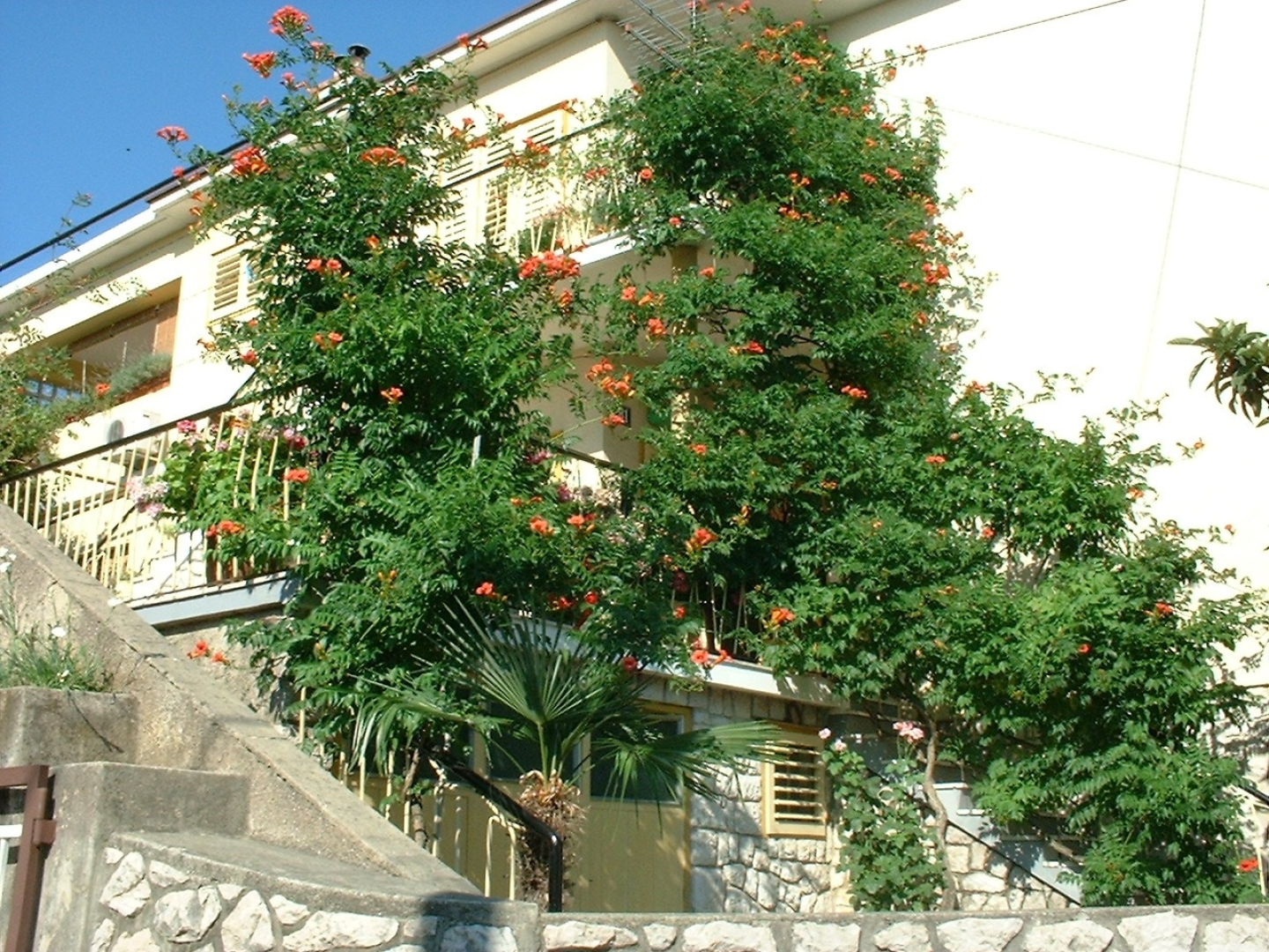 Apartment Ivo A3-Vilma Crikvenica, Riviera Crikvenica