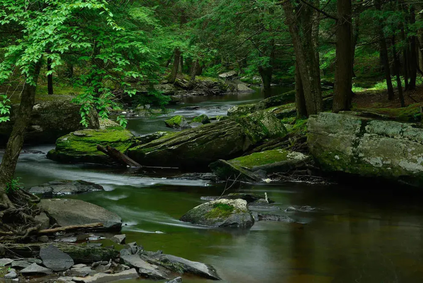 Woodloch Pines Resort