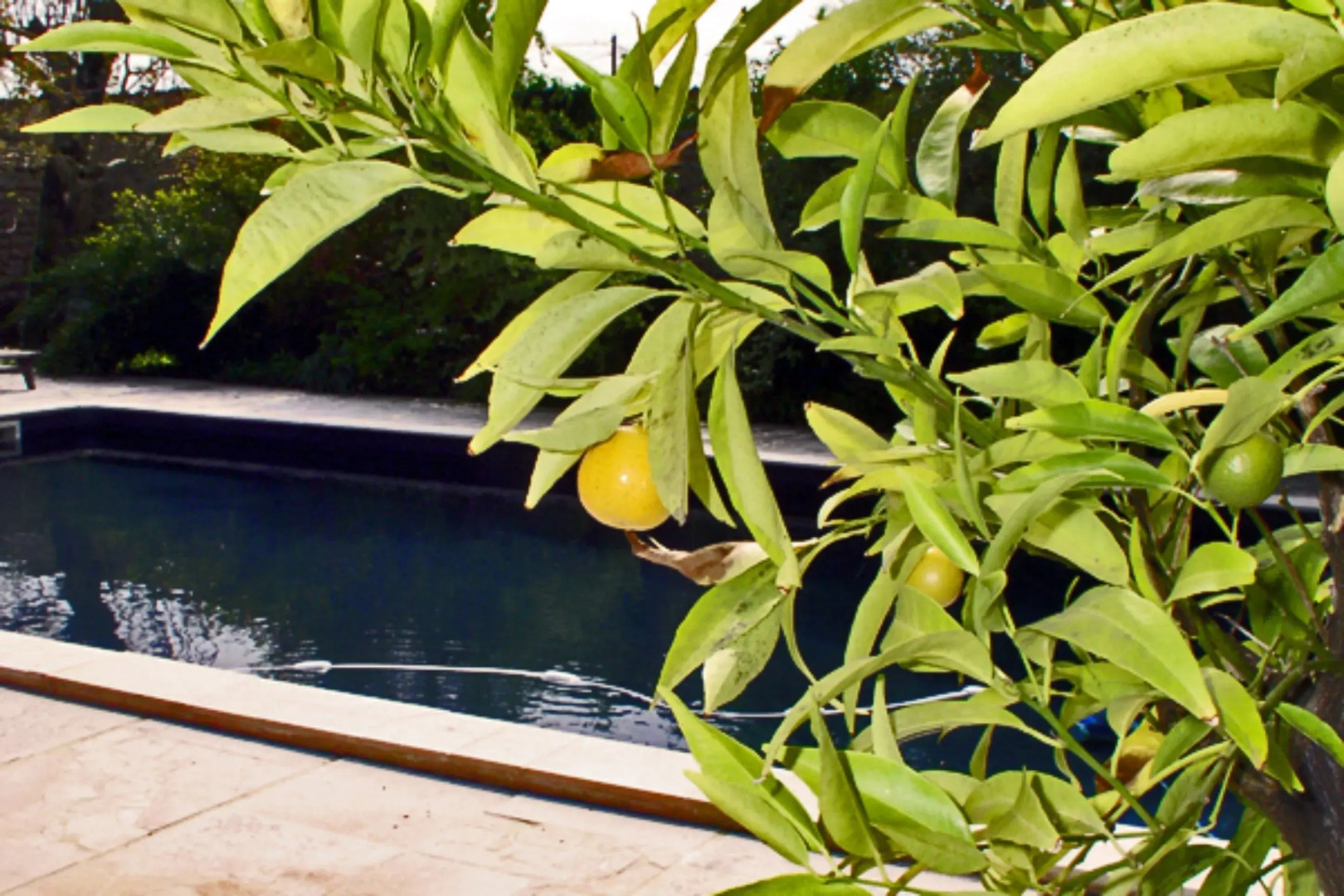 Domaine de Rennebourg