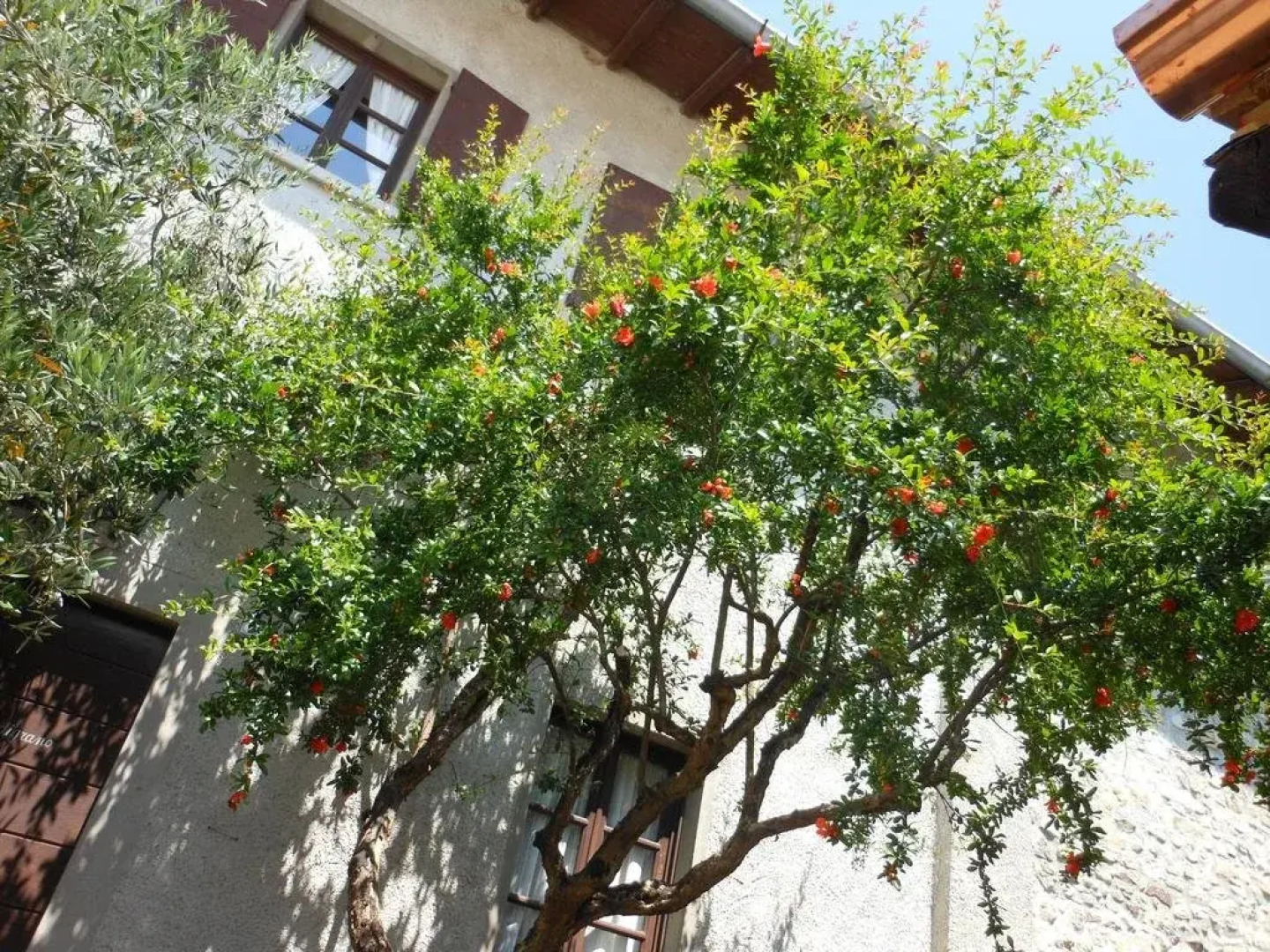 Agriturismo Cassinazza