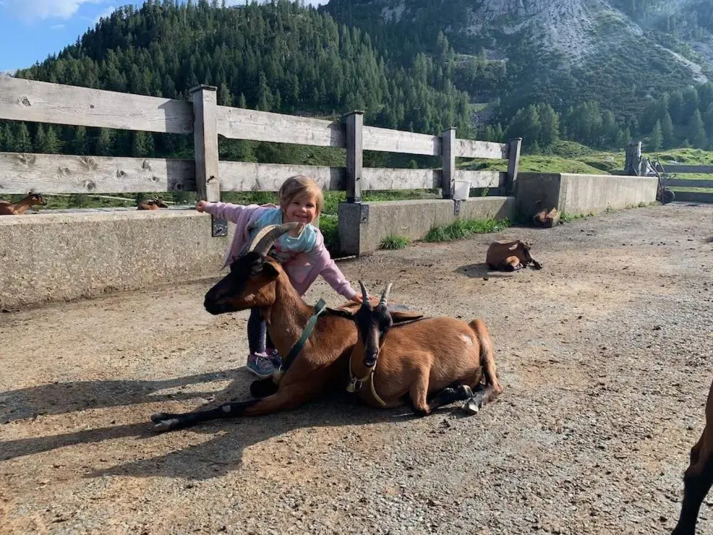 Chalets Und Apartments Hauserhof