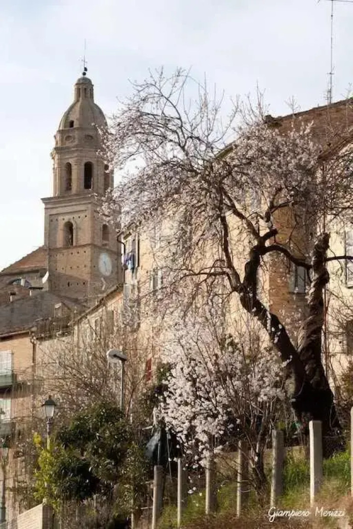 LA CASA DE MARIOvicino a porta da sole