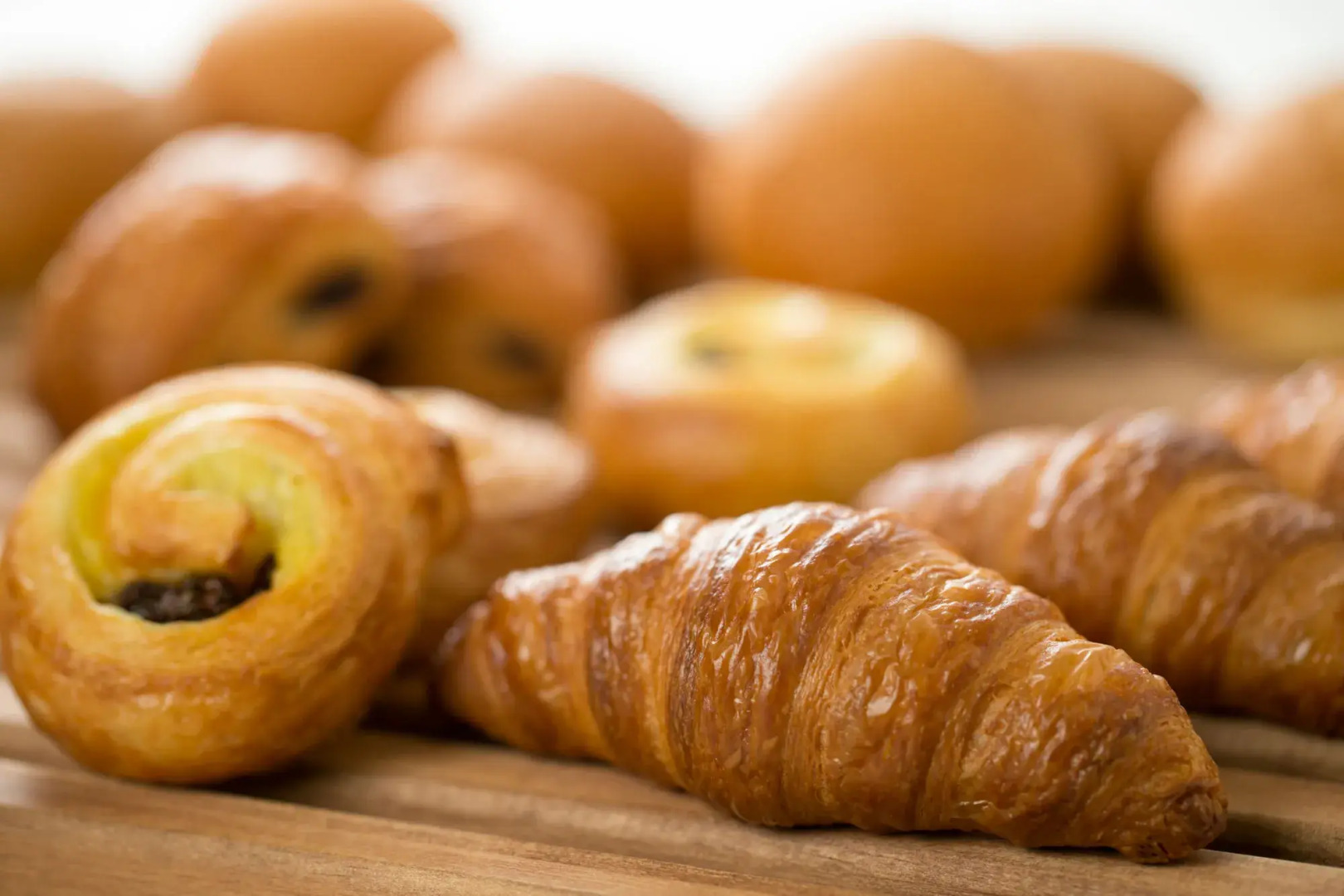 Fukuyama New Castle Hotel