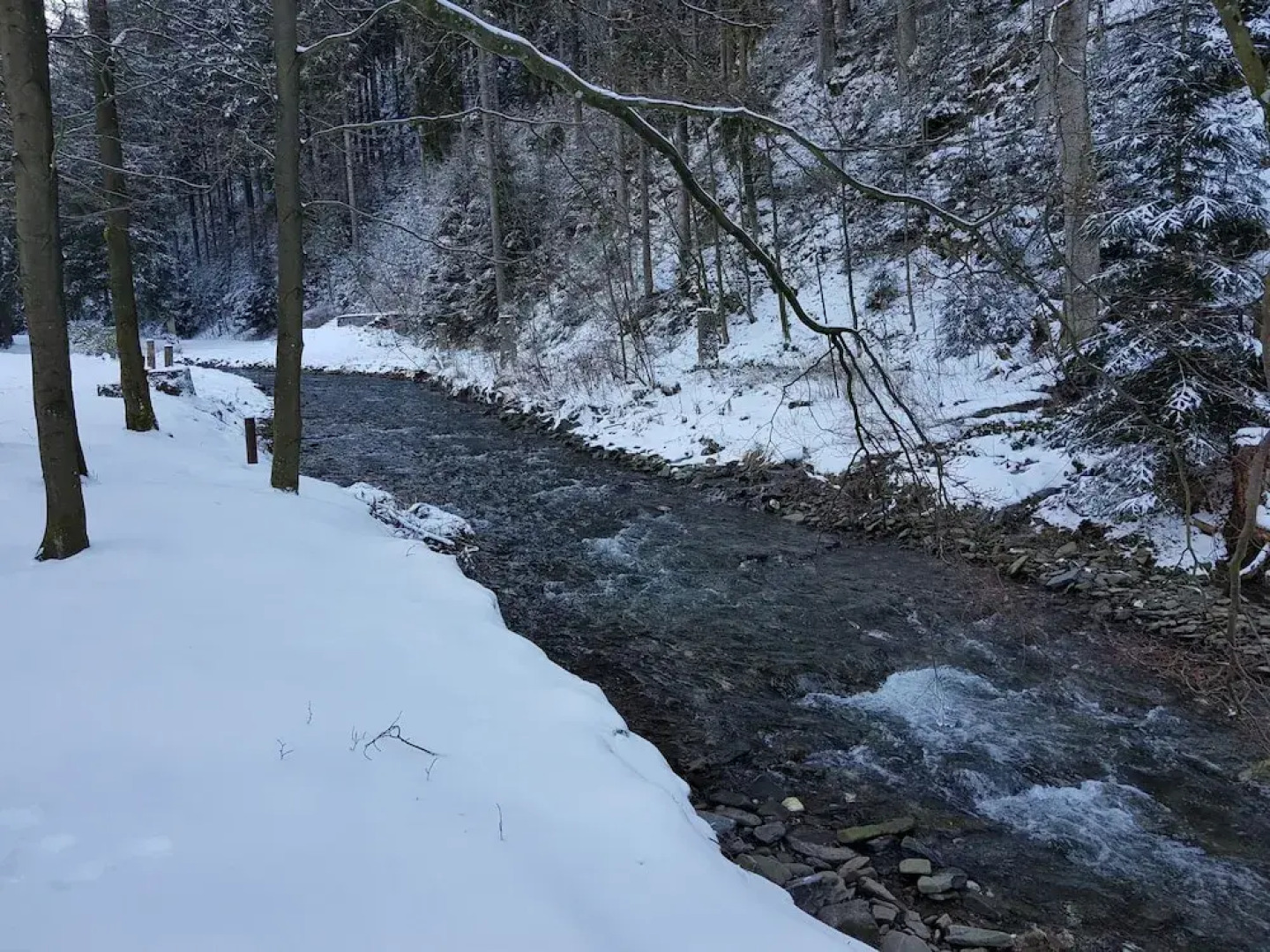 Ferienwohnung im Oberharz in Wildemann