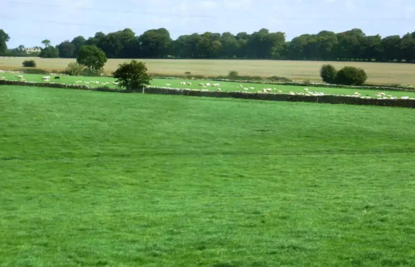 Windylands Bed and Breakfast