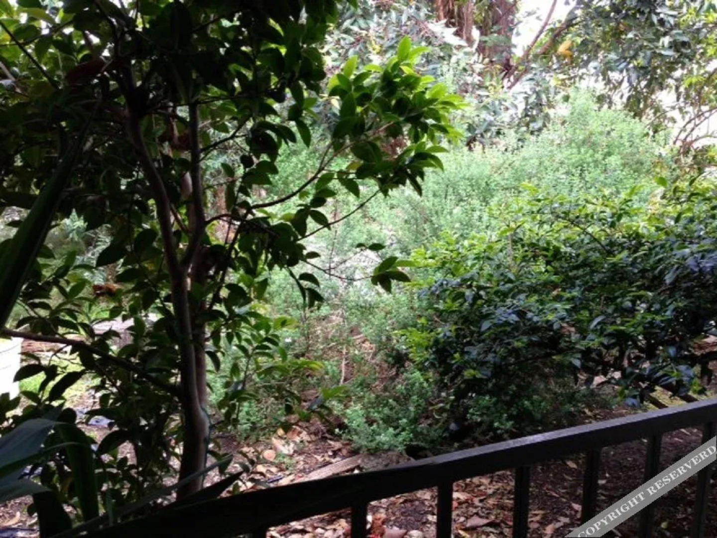 Australian Home Away Doncaster Elgar 2