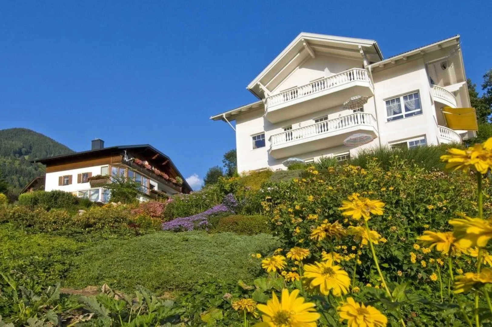 Ferienwohnungen M.u.M. Cichini