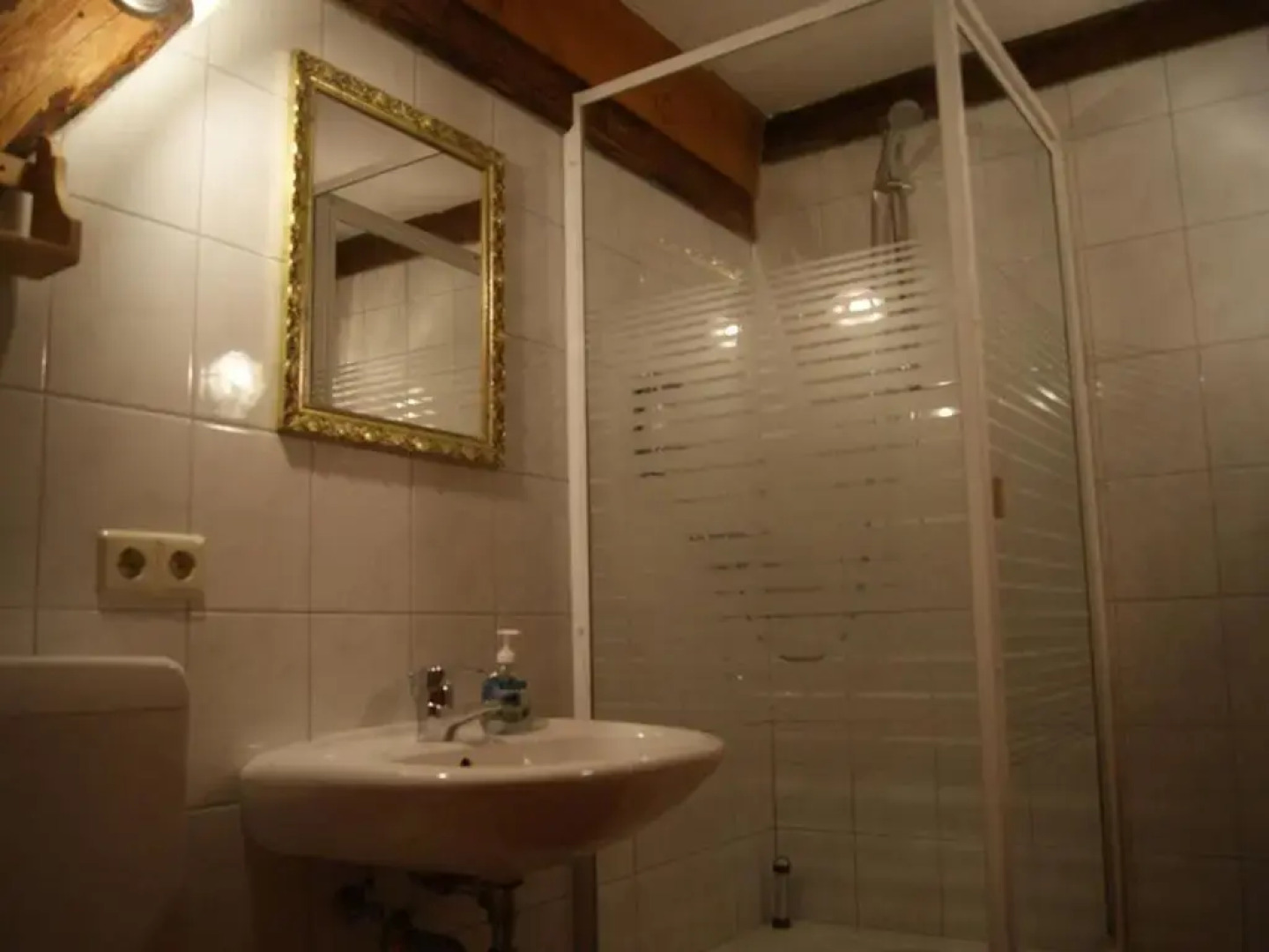 Gasthaus Alte Brauerei