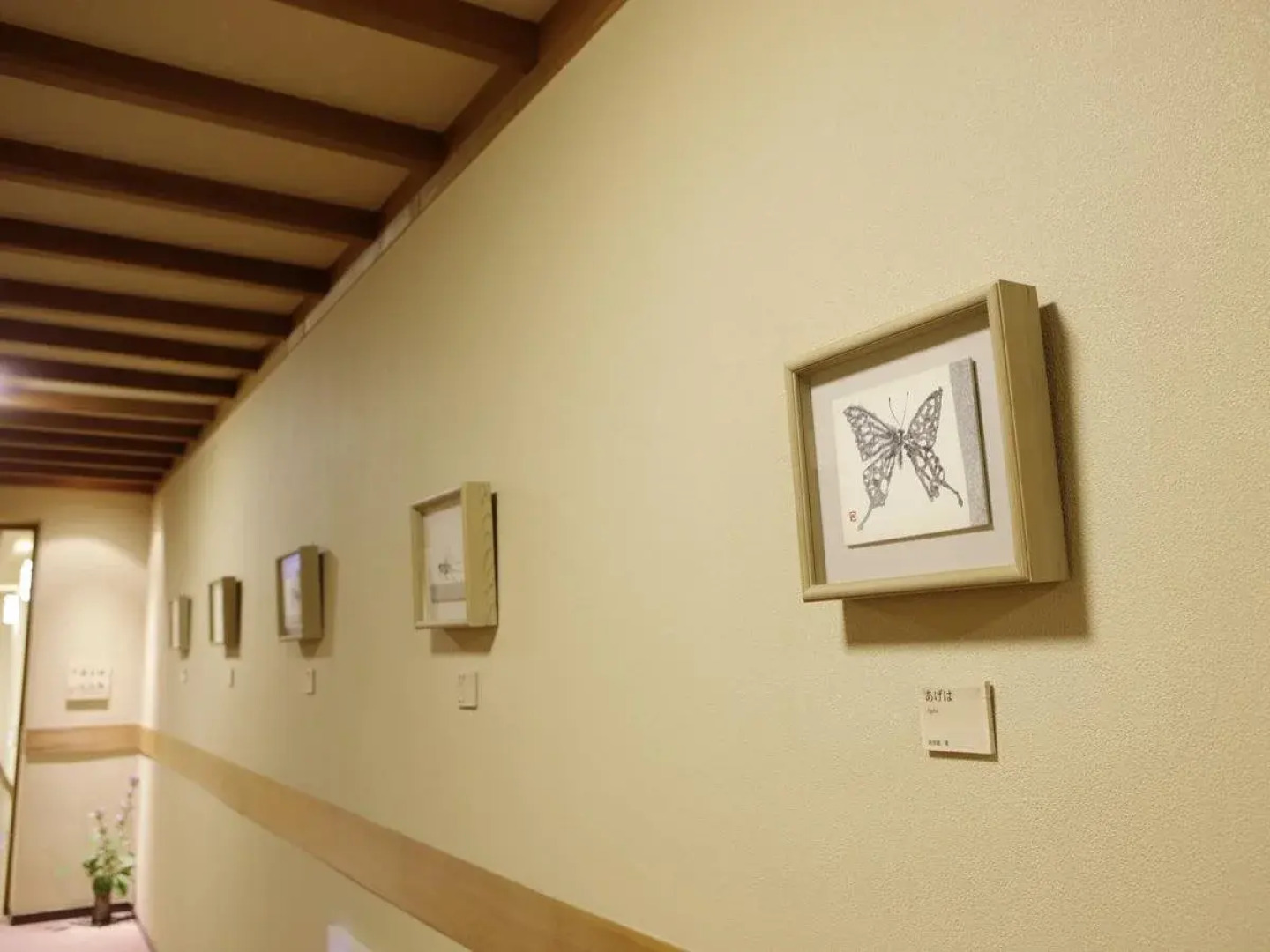 Kusatsu Hotel 1913 Bettei Pedalo