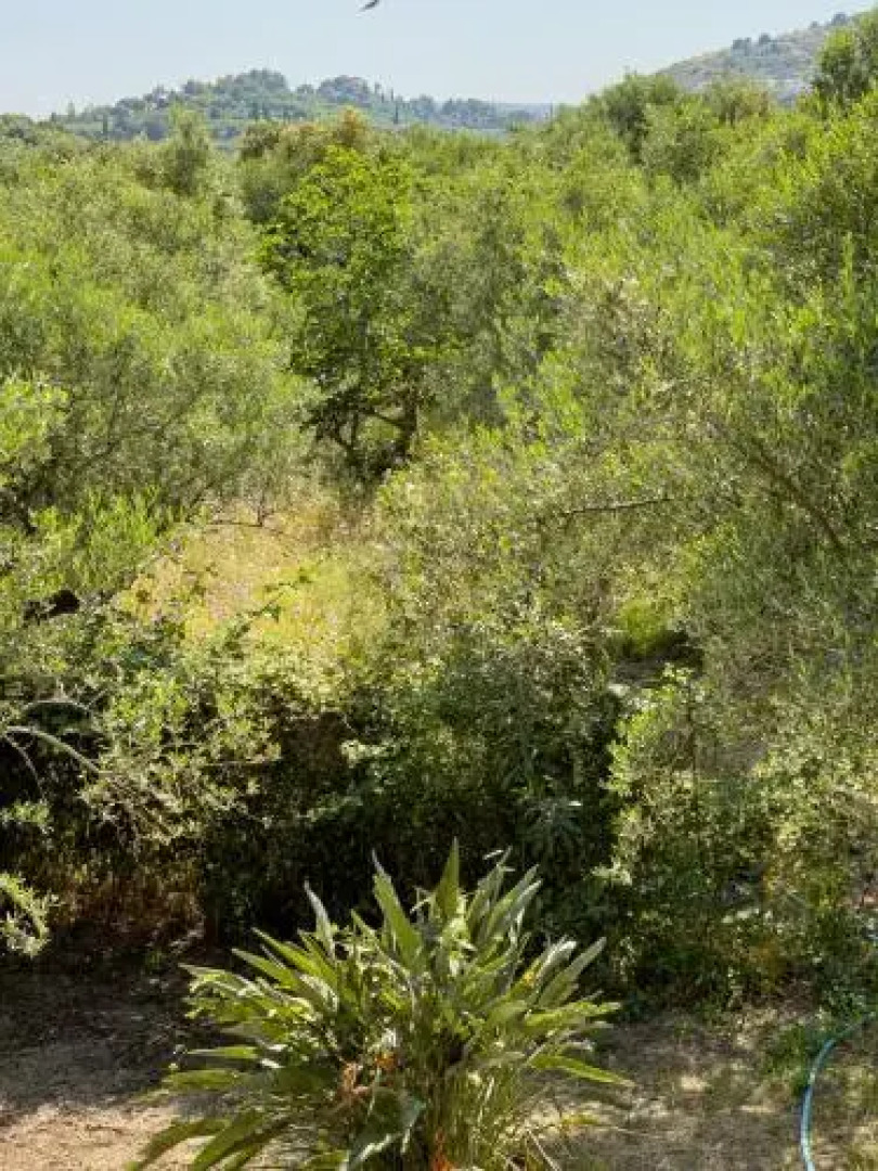 Villa Anta house by the sea