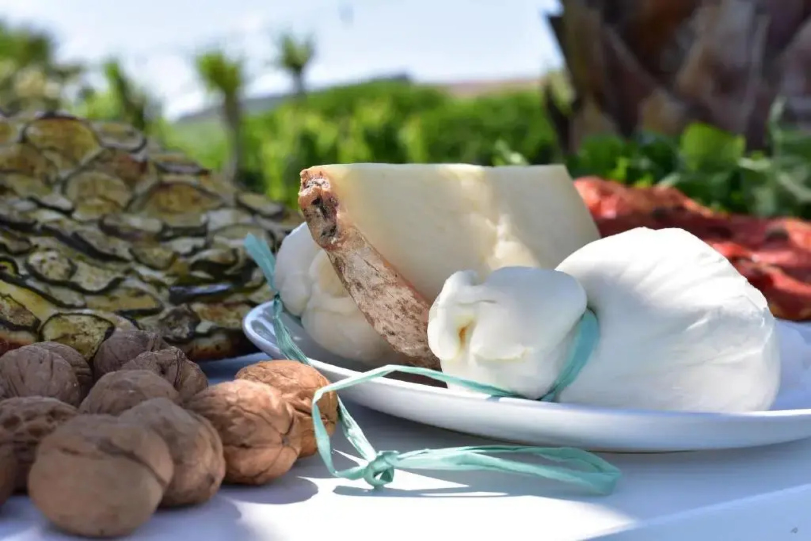 AgrIGINO Villa Riccardi