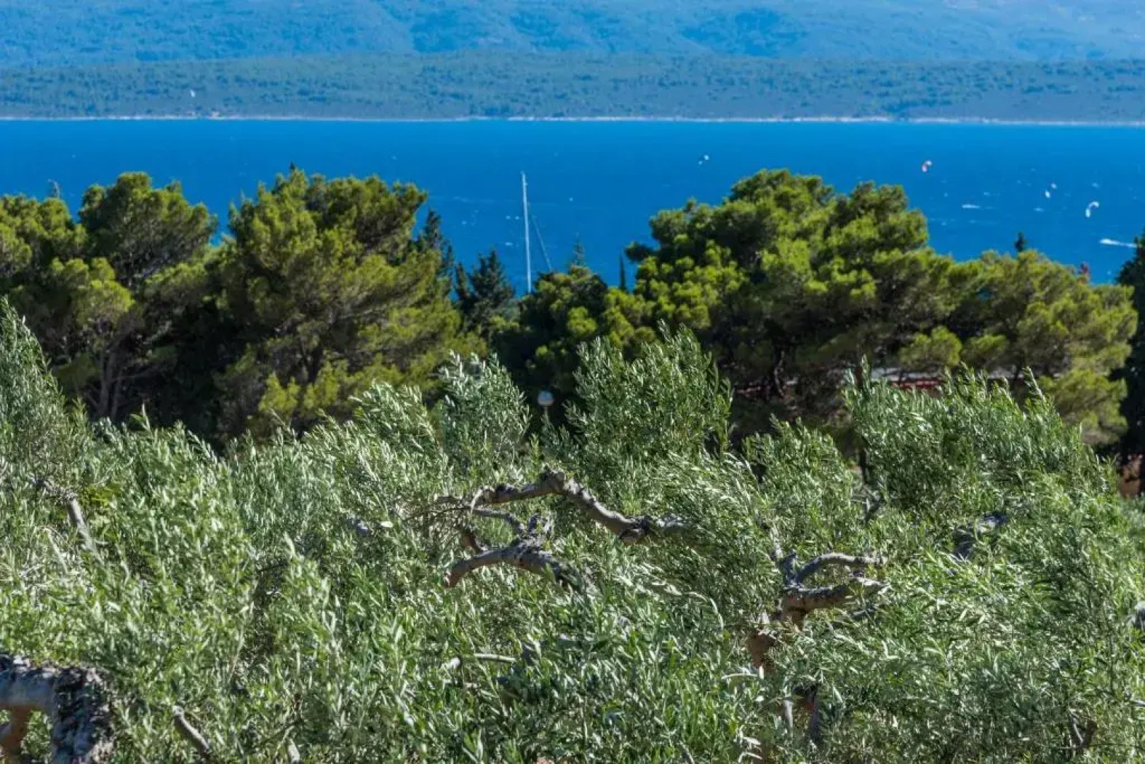 Apartments Villa Sole