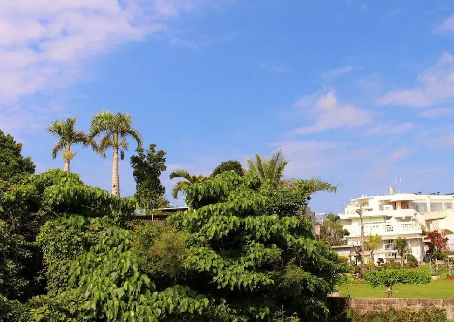 Okinawa Guest House P's House - Hostel