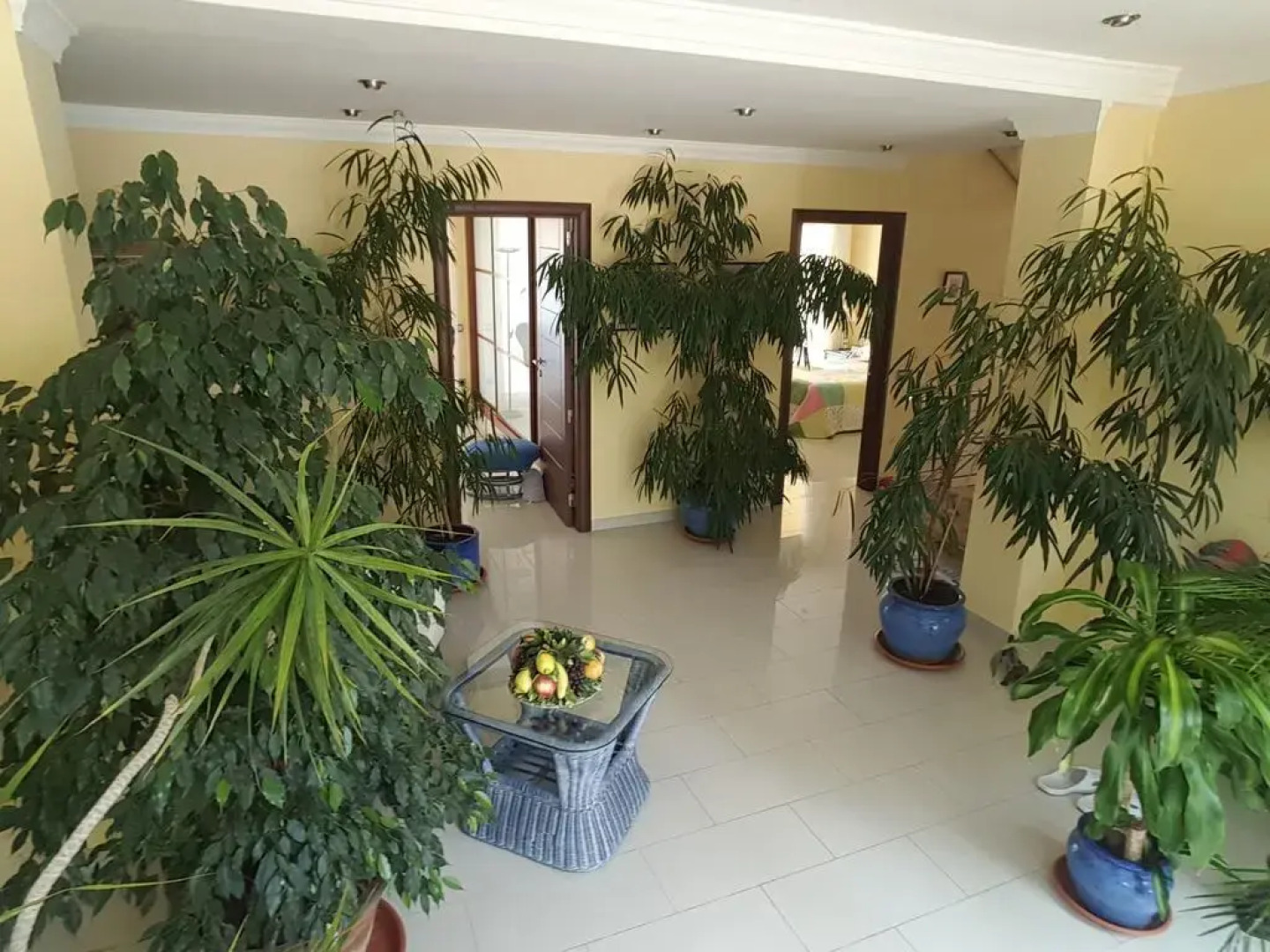 La Estrella Del Mediterraneo