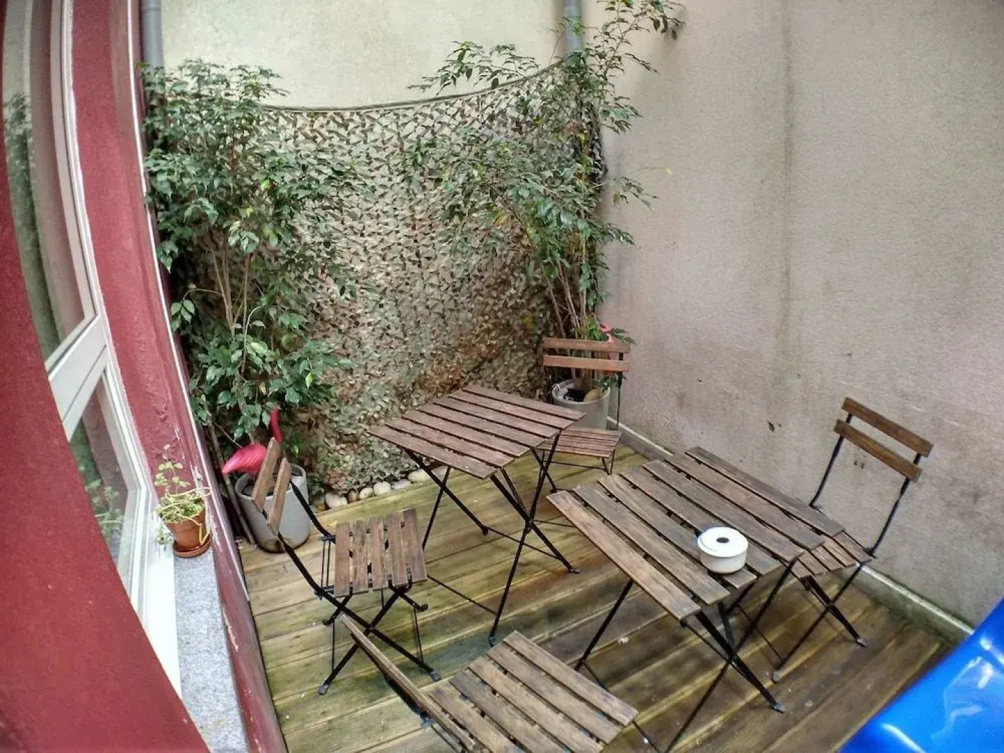 Sardines and Friends