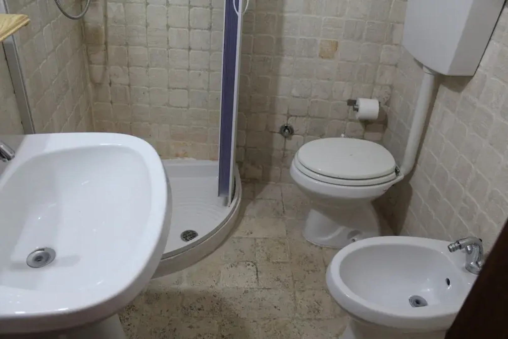 Cervo - Parco Nazionale d'Abruzzo