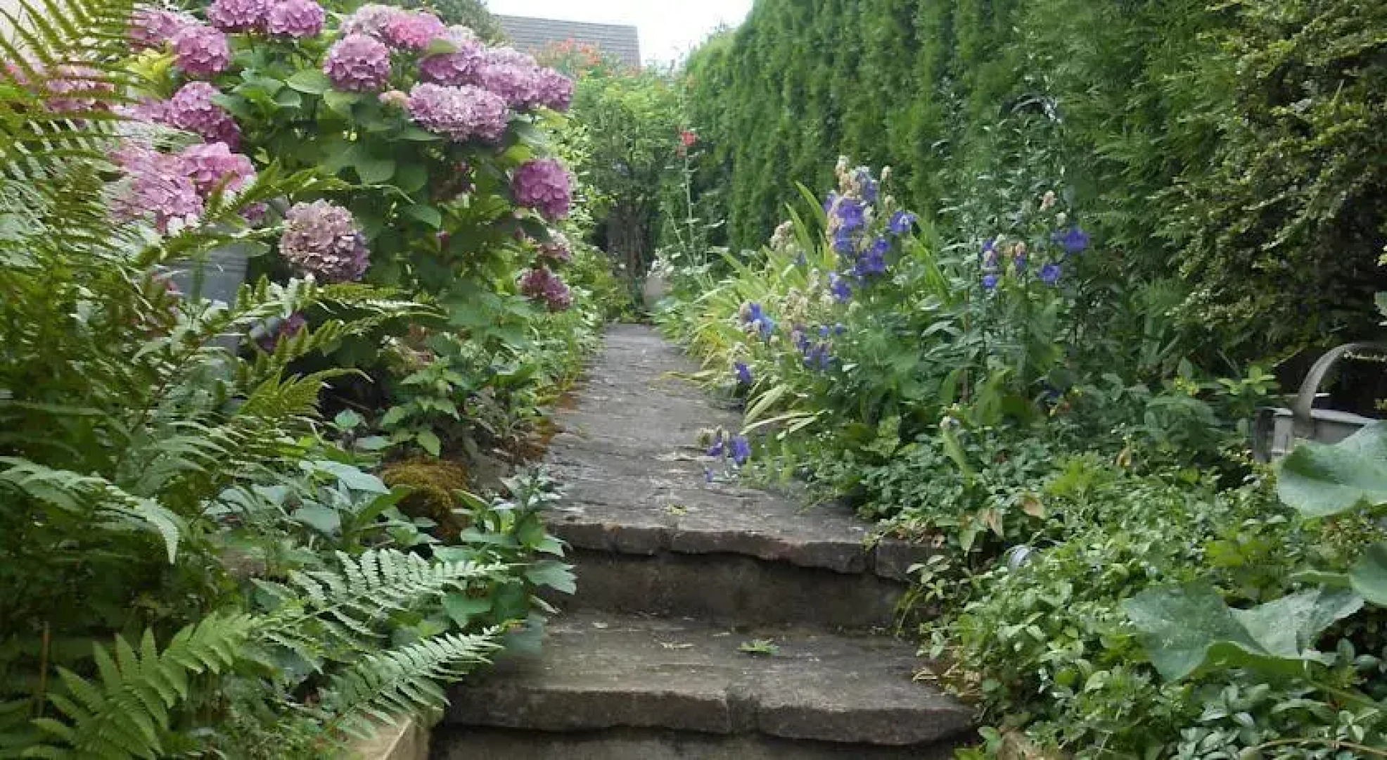 Chambres dhôtes Schneider Leiber Marie Louise