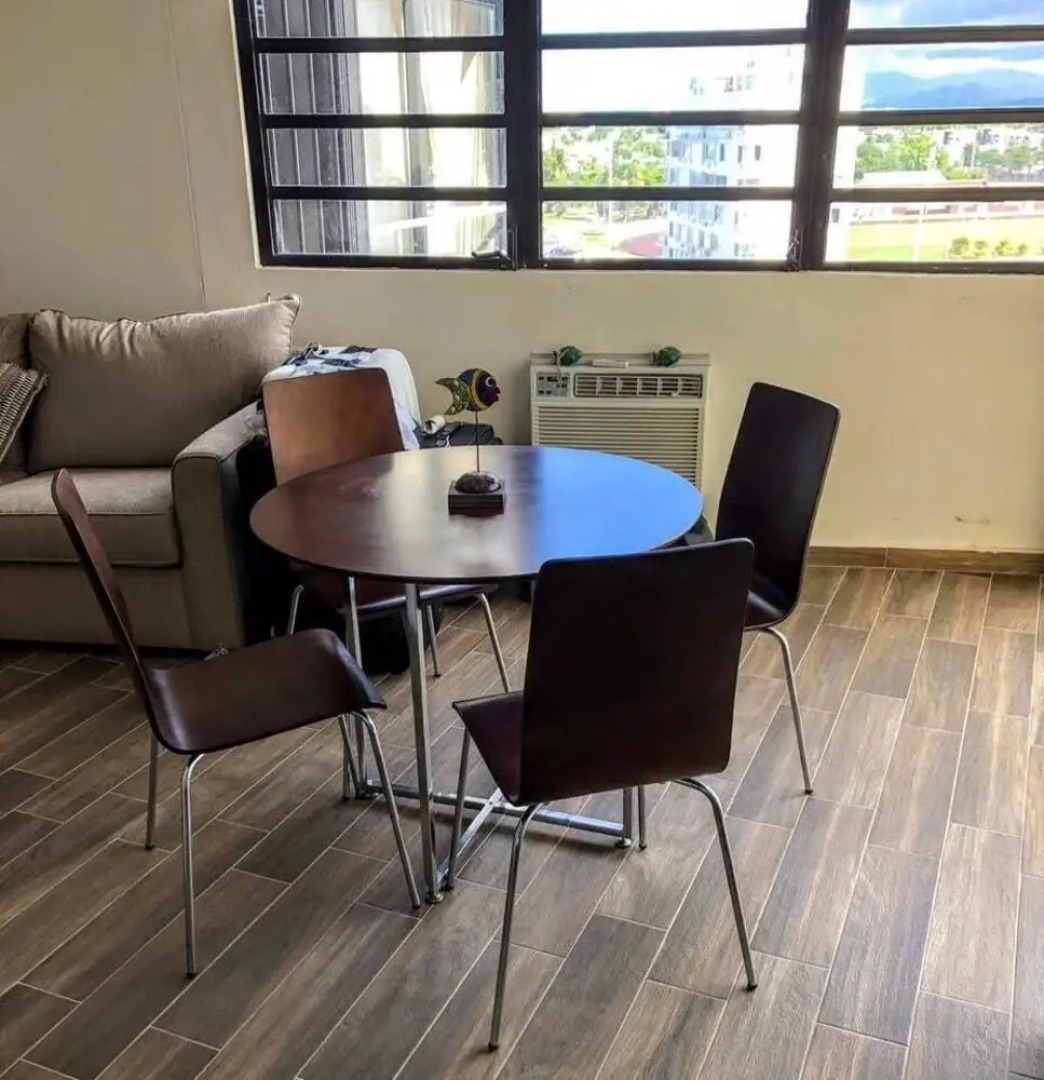 Starfish by the Ocean