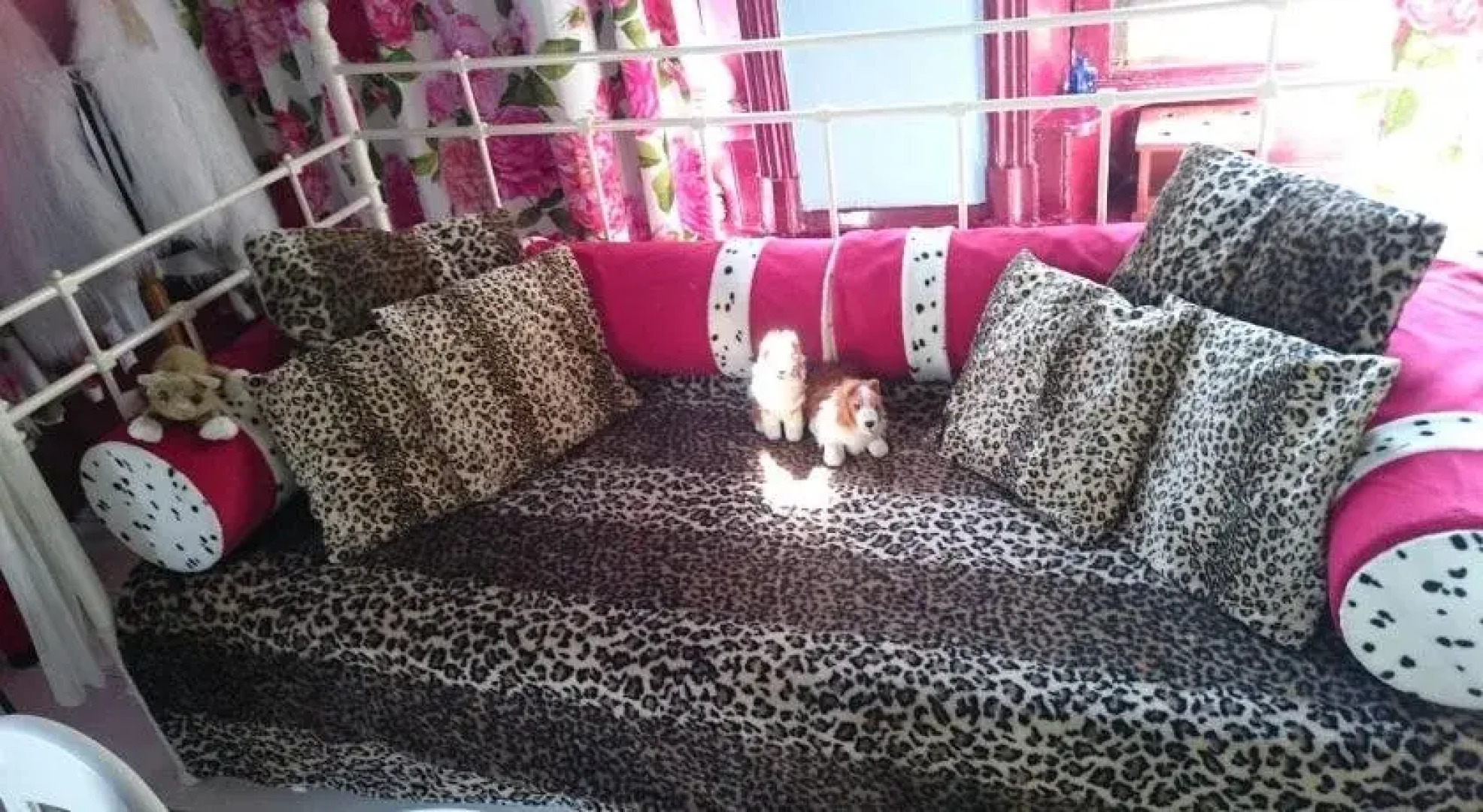 Koningin van Pieterburen