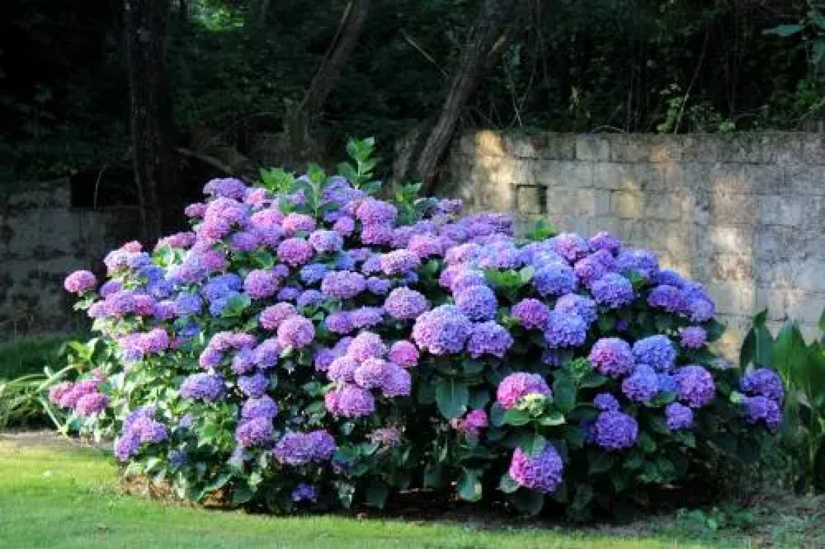 Chambre dHôtes au Sargaillon