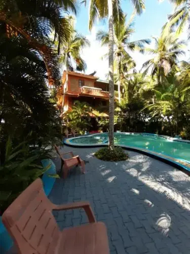 Wild Palms on Sea Hotel