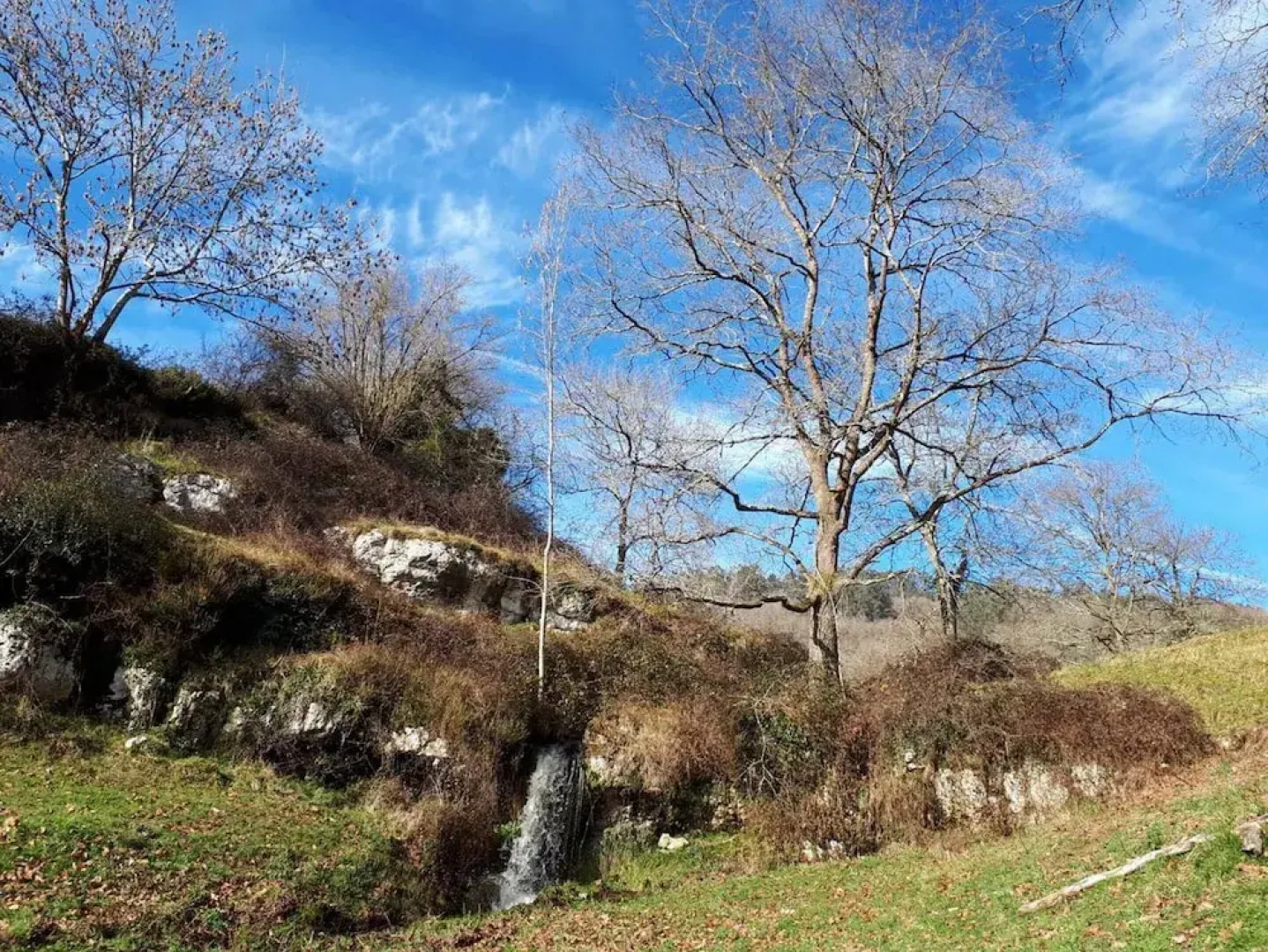 House With 5 Bedrooms in San Román de Villa, With Terrace