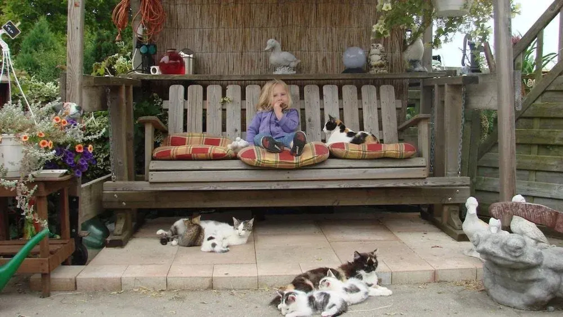 Crea-Trends Vacations - Apartments