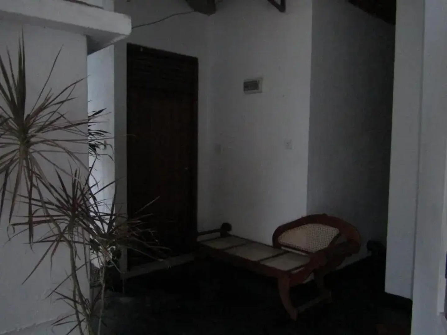 New sea lion guest house