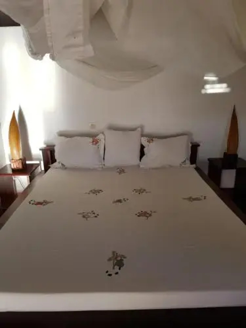 Les Dauphins De Nosy Be