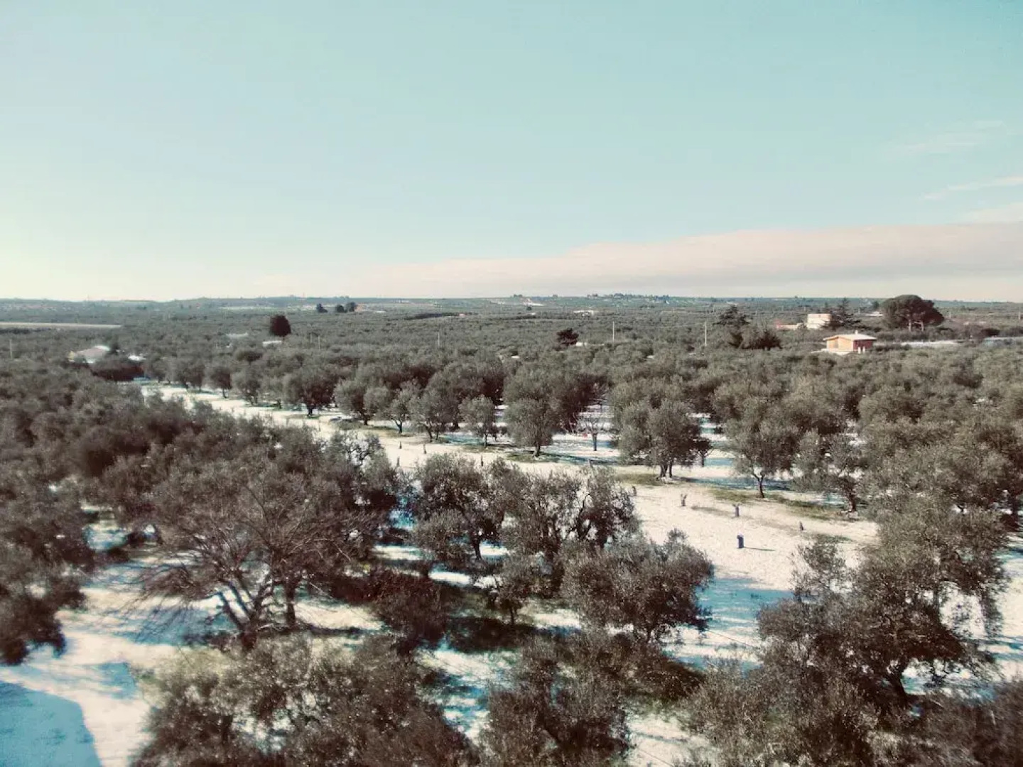 Masseria Chiusurella