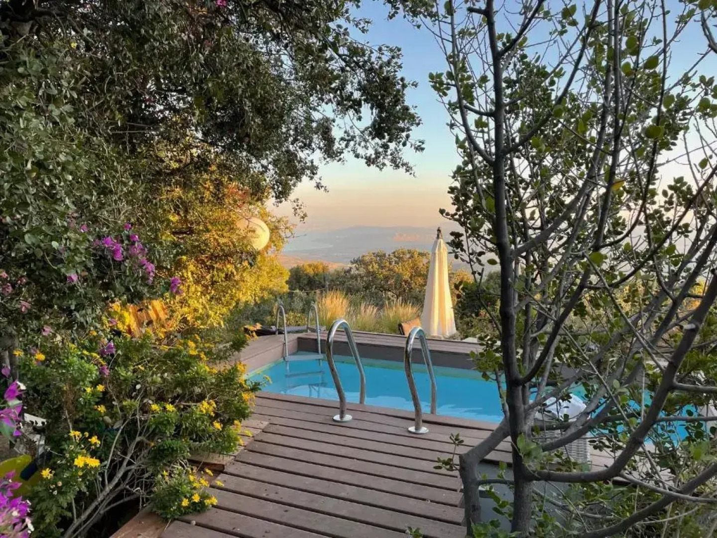 Rose Garden - Gan Vradim