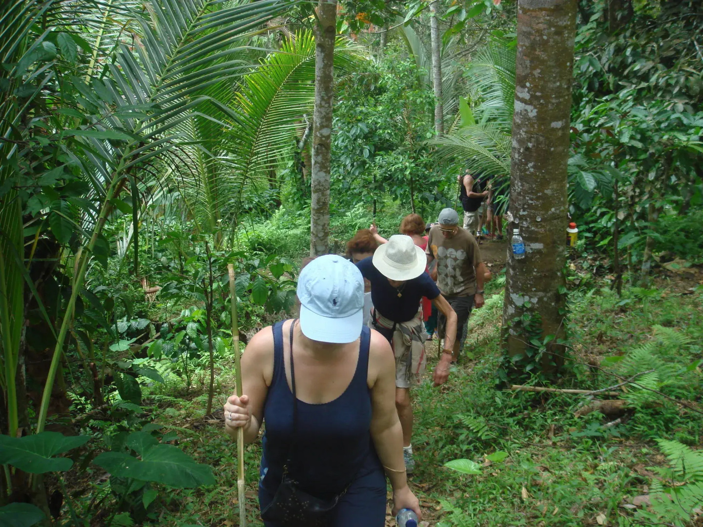Cempaka Belimbing Villas