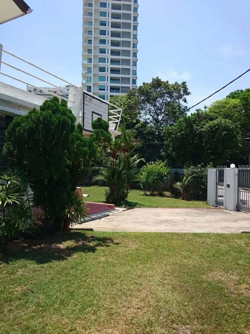 Sea Lion by the Beach