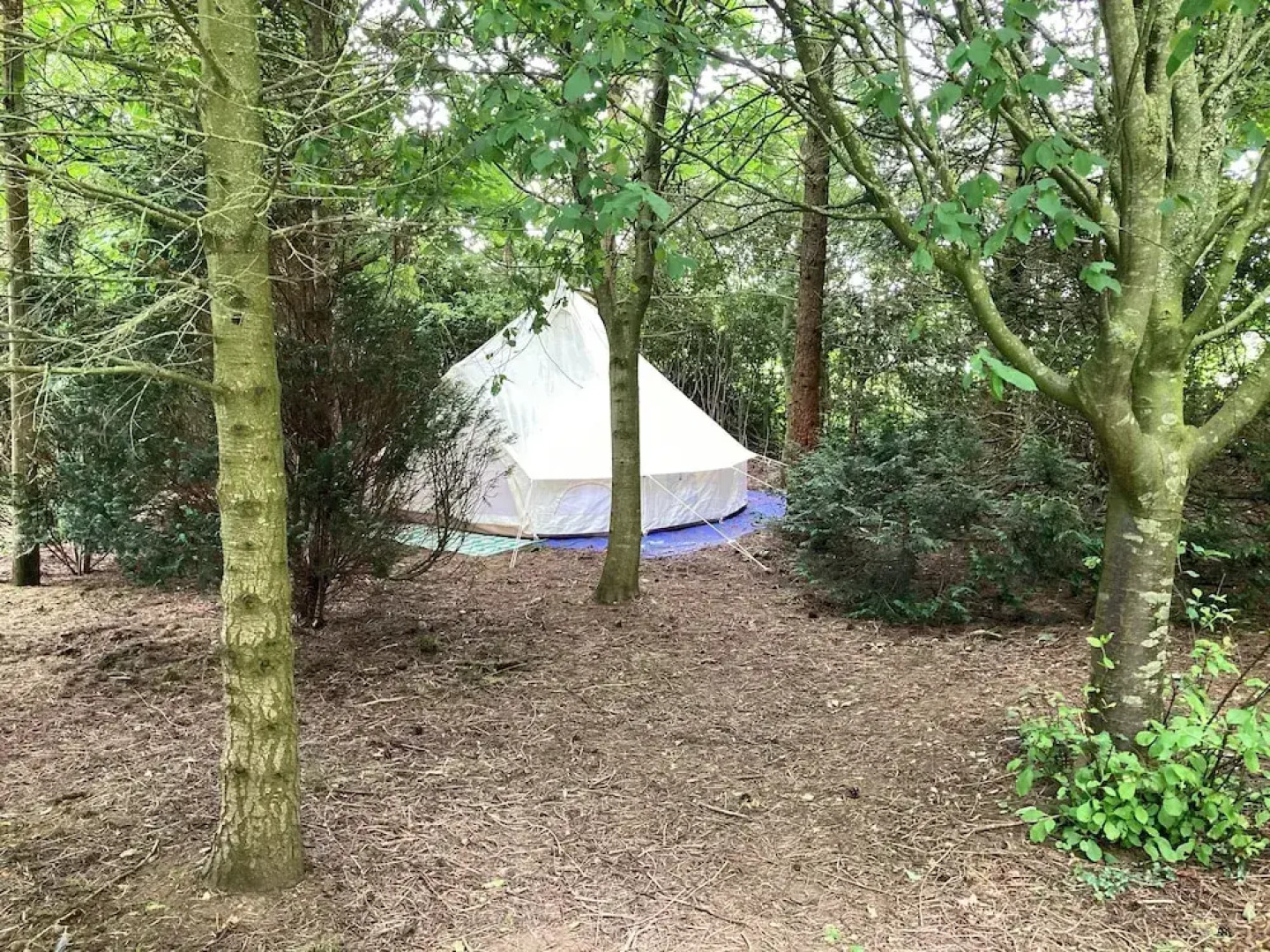 Woodlands Basic Bell Tent 2