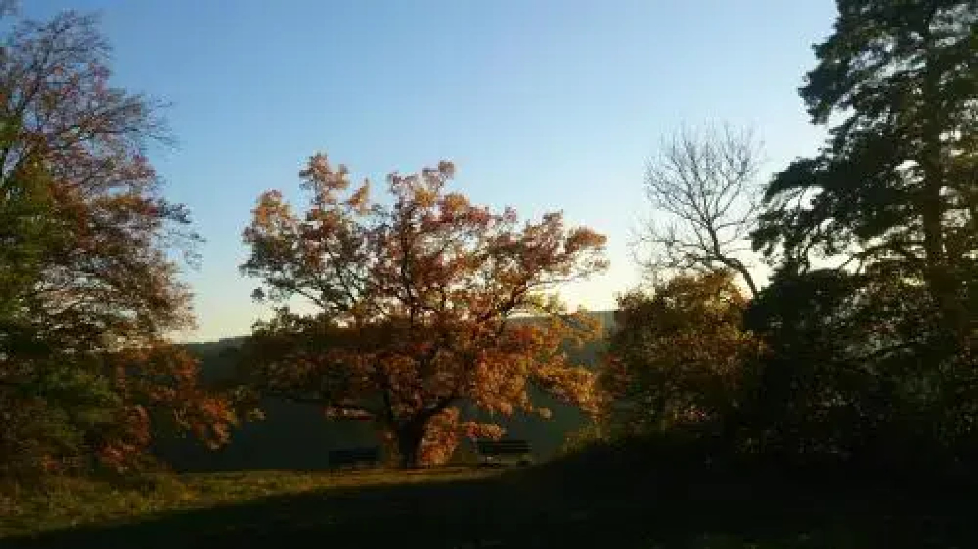 Berghaus Knopfmacher