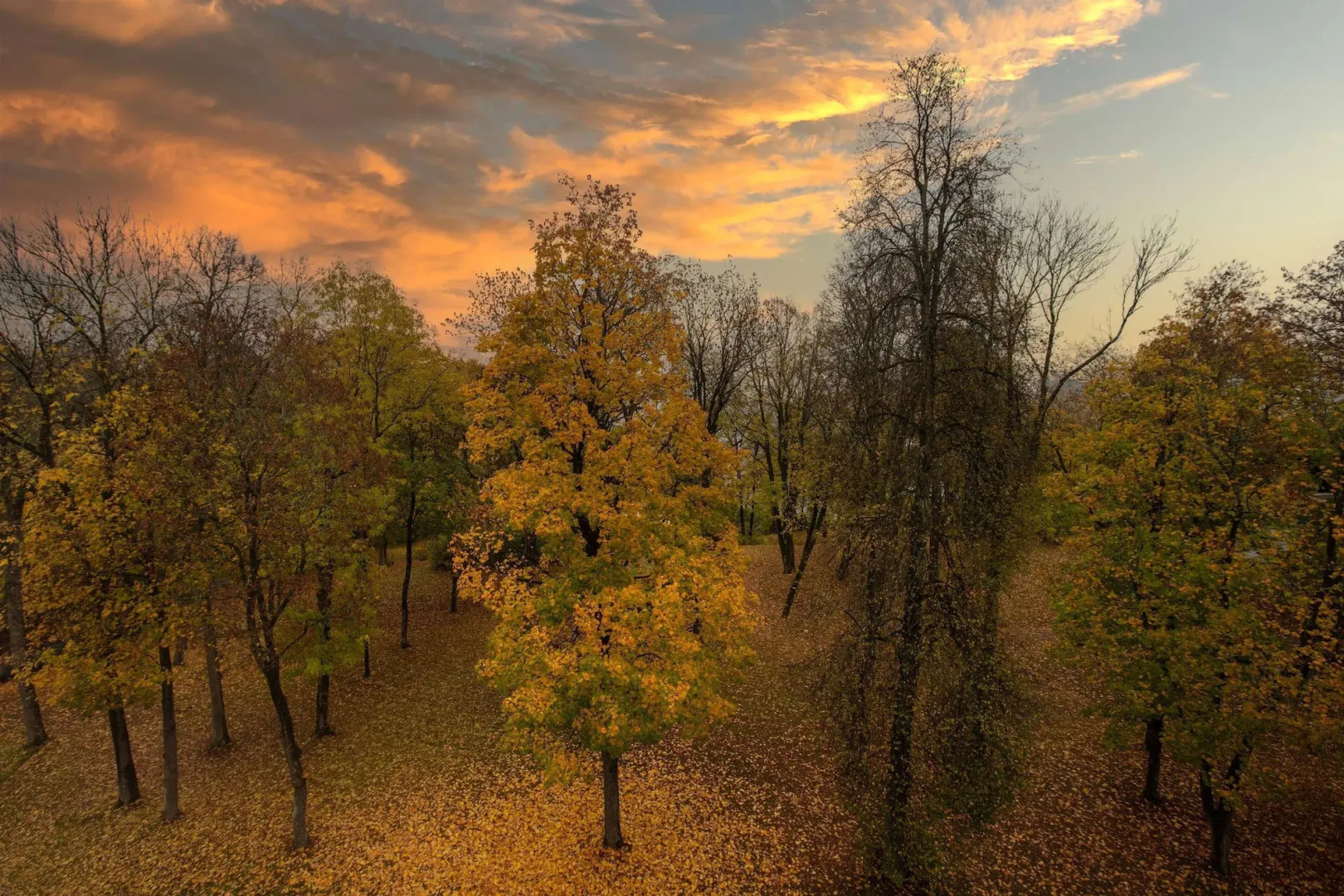 Radisson Blu Park Hotel, Oslo