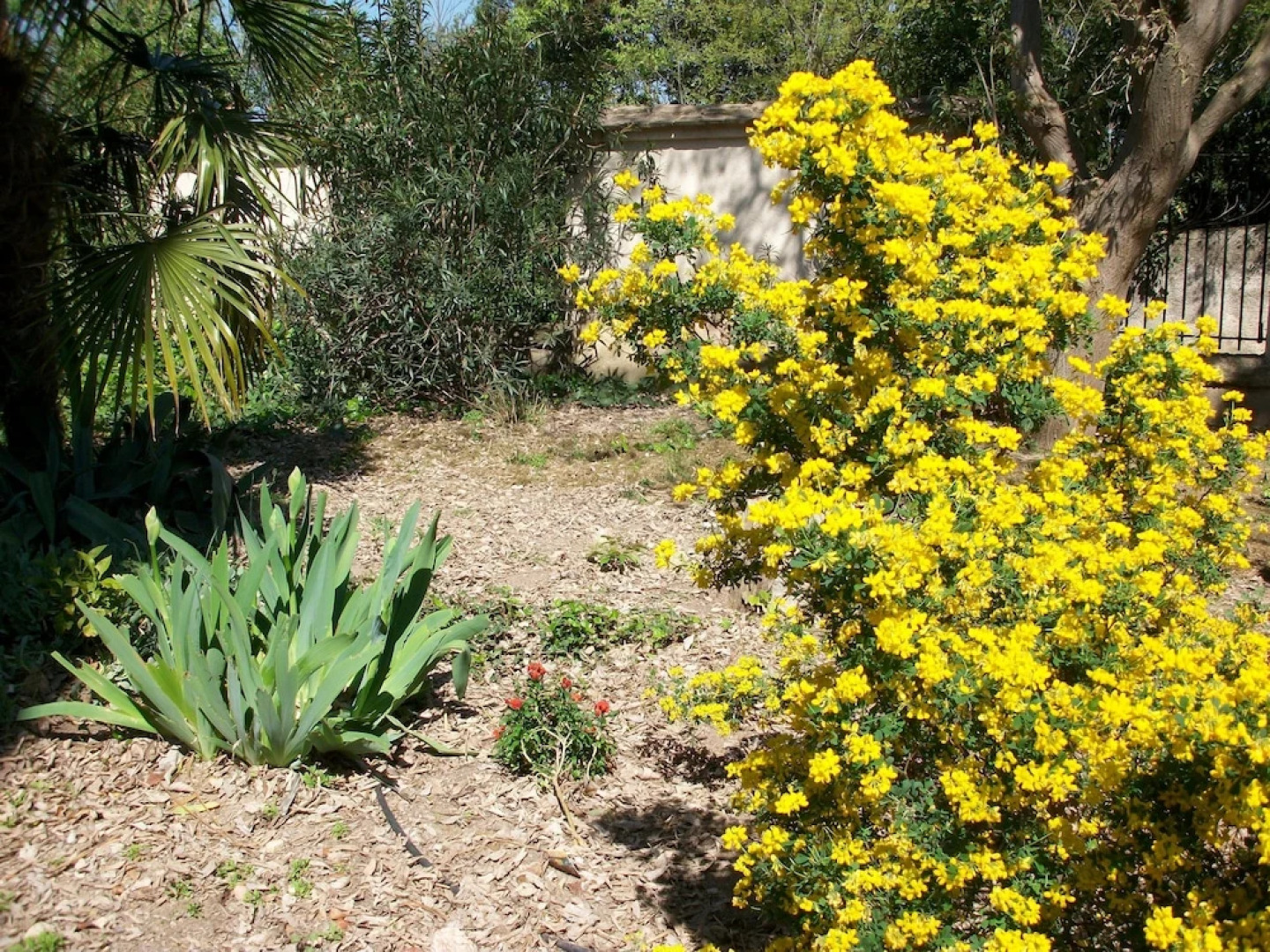 Commanderie Templière de Launac-Le-Vieux